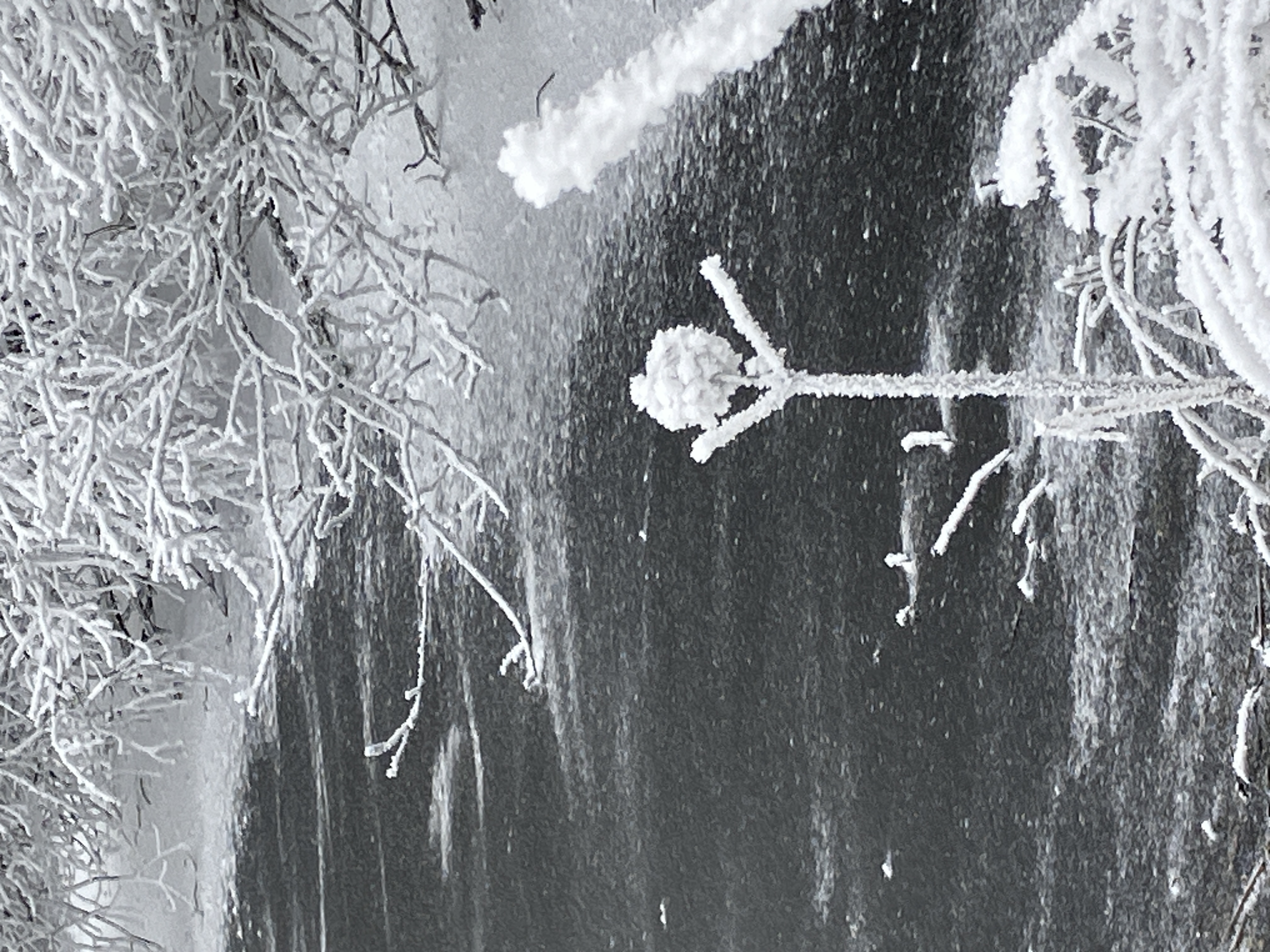 Besuchen Sie den Hoherodskopf